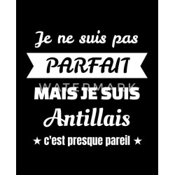mug antilllais " je suis pas parfait"