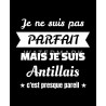 mug antilllais " je suis pas parfait"