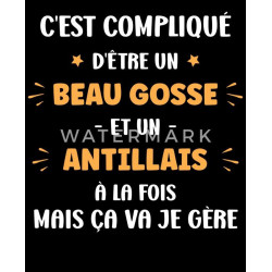 Tasse noire – « Être compatissant envers les antillais, c’est faire preuve d’humanité »